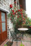 Agroturismo Amalau