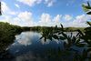 Cormoran Boutique Hotel & Cenote Tulum