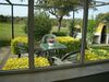 Agroturismo Finca Dehesa Tres Riveros