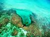 Hotel Almaplena Eco Beach Resort