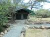 Punda Milias Camp Nakuru