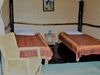 Punda Milias Camp Nakuru