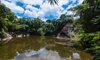 Bed & Breakfast Uravu Bamboo Grove