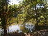 Hotel Amada Lake View Homestay