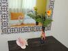 Hotel Concierge Plaza San Rafael