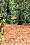 Lodge Centro Ecotur�stico Caba�as Llano Grande