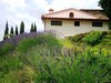 Agroturismo Poggio Corsucci