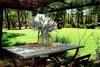 Agroturismo Poggio Corsucci