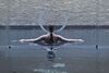 Hotel Posia Luxury Retreat & Spa