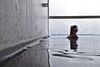 Hotel Posia Luxury Retreat & Spa