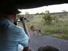 Posada Kruger Park Tours
