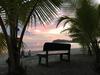 Hostal Fenix Hotel - On The Beach