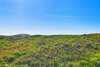Cinnamon Shore- Sea La Vie 164 Se