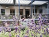 Hotel Alexxanders Restaurant & Bordinghouse