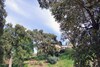 Bed & Breakfast Villa Nais