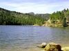 Elk Mountain House - Four Bedroom Cabin
