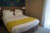 Hotel Du Rhone Seyssel