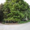 Bed & Breakfast La Casa Nel Bosco