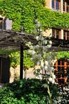 Bed & Breakfast L'aube Du Moulin