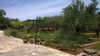 Apartment Emilia / Two Bedroom A1