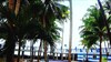 Hotel The Pelicans Castaway