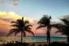 Beautiful Cozy 1br Apartment Walk From The Ocean!