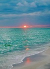 Beautiful Cozy 1br Apartment Walk From The Ocean!