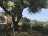 Guest House B&B Pietra Bianca
