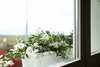 Bed & Breakfast La Locanda Di Corrado