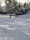 Sapanca Villa Natura Gol Evi