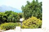 Villa Cutino
