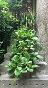 Apartamento In Riva Al Lago Marone