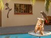 Hotel A Cherry Lane Self Catering And B&B