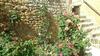 Bed & Breakfast Le Vieux Chateau