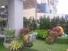 Hotel Little Bird Phuket