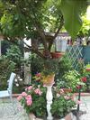 Bed & Breakfast La Casa In Pietra