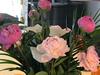 Bed & Breakfast Le Moulin Du Bois