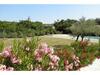 Villa Colline