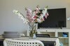 Apartamentos Protaras Almyra Seaview Suite 34