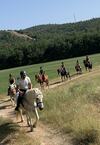 Les Ecuries Du Mas Di Gau