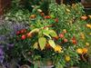 Bed & Breakfast Chambres D'h�tes La Turone