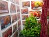 Bed & Breakfast Chambres D'h�tes La Turone