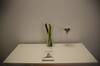 Bed & Breakfast Piccolo Principe Verona
