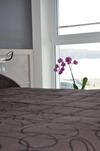 Hotel H�tel De La Baie Des Tr�pass�s