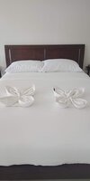 Hotel Ocean Safari Suites