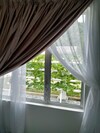 Hotel Halcyon Days @ Langkawi