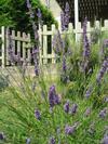 Bed & Breakfast La Cabane De P�p� Emilien