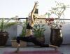 Hotel Surf House Morocco