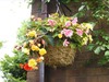 Down Royal House B&B