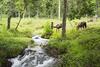 Blue River Resort & Hot Springs